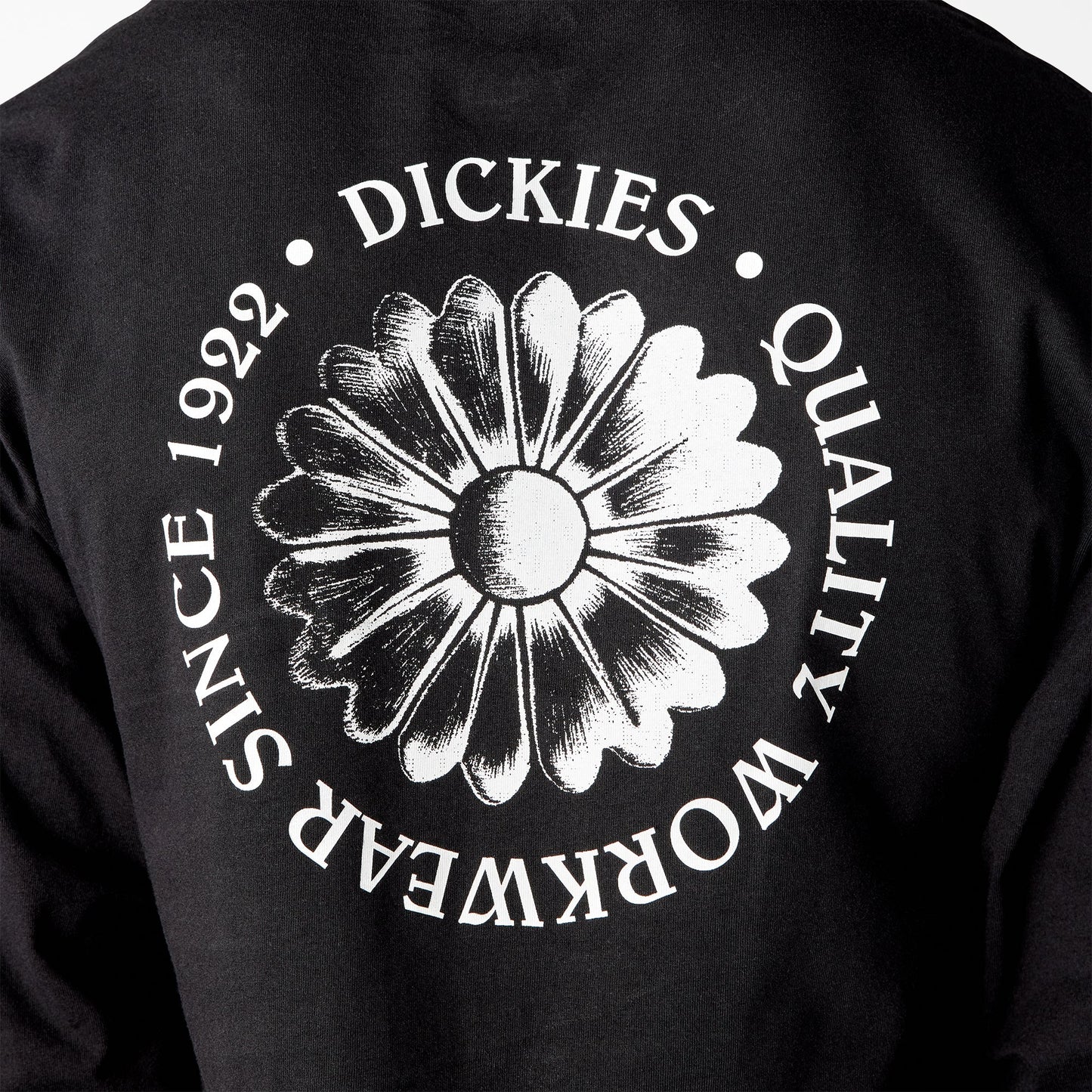 Garden Plain Graphic Long Sleeve T-Shirt